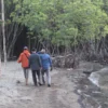 Melihat Ekowisata Mangrove Pulau Burung di Subang