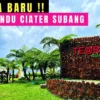 Teras Cafe, Healing Seru di Tengah Kebun Teh Ciater Subang
