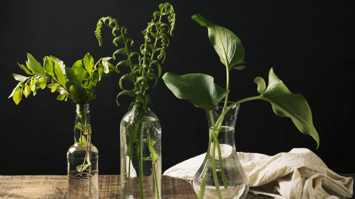 Kerajinan Vas Bunga Kreatif dari Botol Minuman Keras