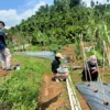 Program Desa Digital di Jawa Barat melahirkan SDM di bidang pertanian yang berhasil menjadi direktur utama.