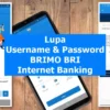 Lupa User ID dan Password BRImo, Begini Cara Memulihkannya