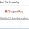 Cara Mudah Untuk Mengganti Pin Shopeepay 100% Work
