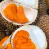 Kebun Durian Bunihayu Subang, Surganya Durian, Dijamin Anda Puas!