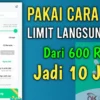 Gokil! Pinjaman Online Langsung Cair, Modal No HP Eh Cair Rp 10 Juta