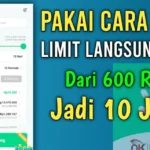 Gokil! Pinjaman Online Langsung Cair, Modal No HP Eh Cair Rp 10 Juta