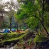 Capolaga Subang, Cocok Untuk Camping Keluarga dan Sejuk Bikin Betah