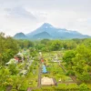 5 Wisata Yogyakarta Terbaru 2023, Terkenal dan Murah Meriah