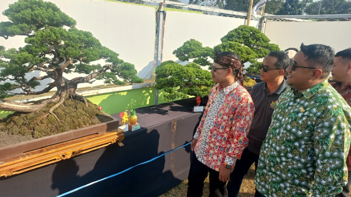 Pameran dan Kontes Bonsai Tingkat Nasional di Subang Sedot Perhatian Masyarakat, Ada Bonsai Seharga Pajero