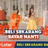 Cara Menggunakan Shopee Paylater Untuk Pertama Kali (SS YT SHOPEE Indonesia)