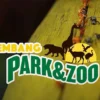 Liburan Seru Bersama Keluarga di Lembang Park & Zoo: Destinasi Modern dan Trendi yang Menyegarkan!