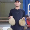 Bisnis Durian