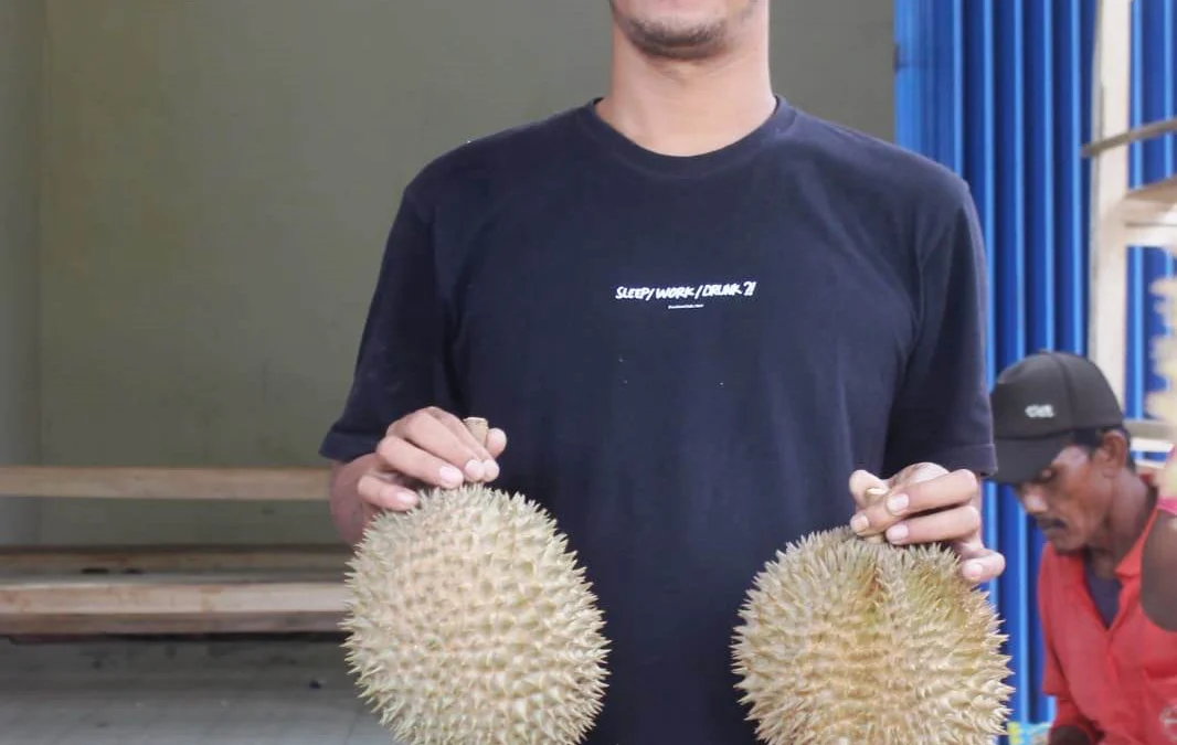 Bisnis Durian