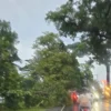 PLN Tasikmalaya Kota Menanggulangi Gangguan Listrik Akibat Cuaca Ekstrem