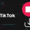 Download Video TikTok Tanpa Watermark Online
