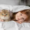 Kenapa Kucing Tidak Mengganggu Anak-Anak Kecil? Simak Penjelasannya disini