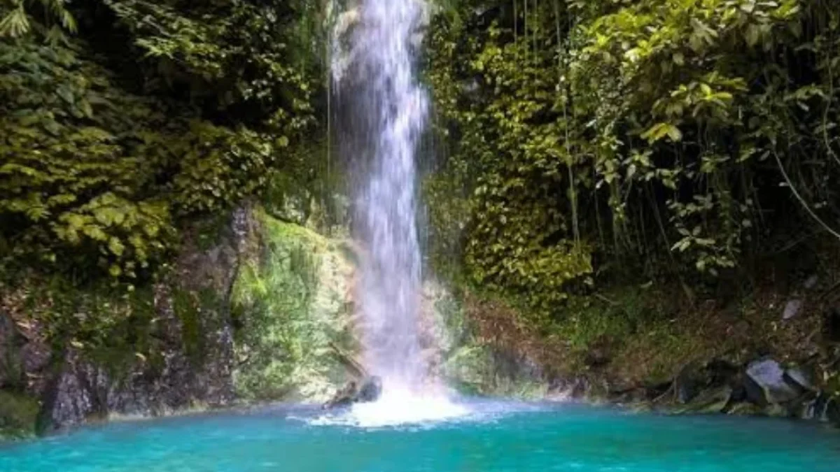 Surga Tersembunyi di Subang, 11 Tempat Wisata Alam yang Menakjubkan