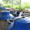 PLTS biogas