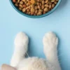 Makanan Kucing Berkualitas dengan Harga Terjangkau(Freepik)