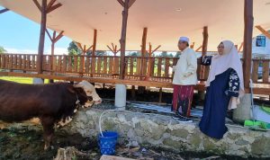 Diamanahi Sapi oleh Kapolda Jabar, DKM Taufiq Alawi Prioritaskan Bagi Daging Kurban ke Warga Desa