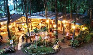 KAFE: Kafe Warung Pinus, Rekomendasi Tempat Nongkrong di Subang yang Hits dan Instagramable. CINDY DESITA/PASUNDAN EKSPRES